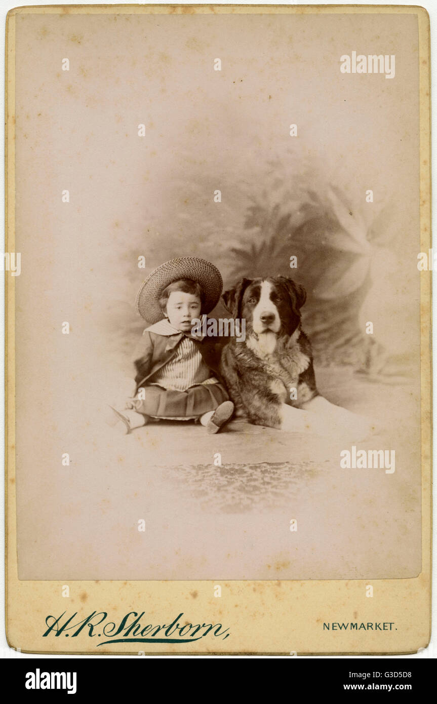 Studio portrait, little boy with large dog Stock Photo