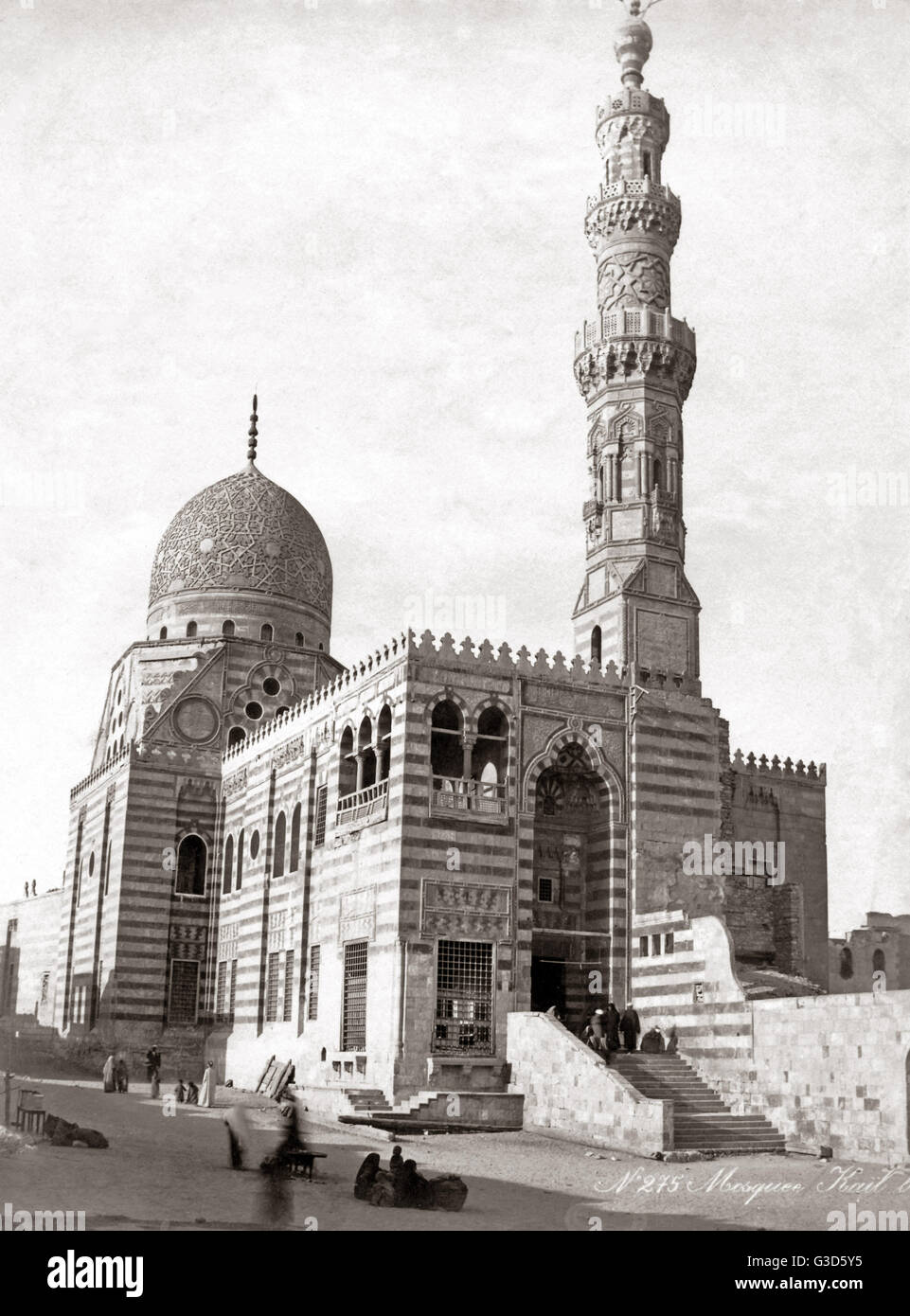 Indiana Evans porno onlayn