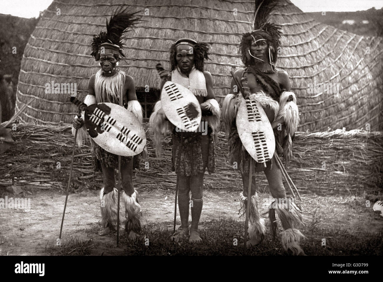 Zulu chiefs, South Africa, circa 1888 (Robert Harris studio Stock Photo