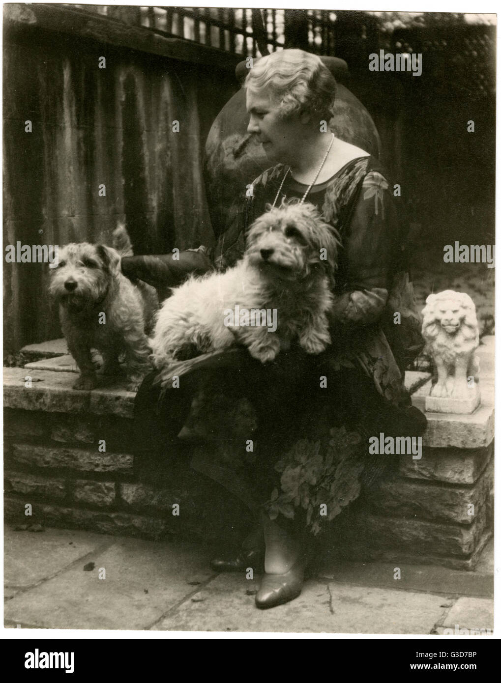 Woman in a garden with two dogs Stock Photo