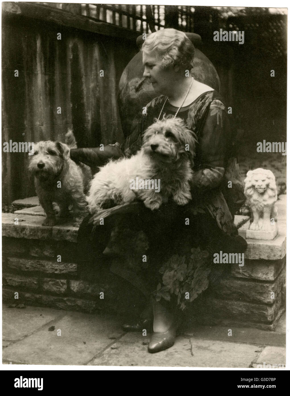Woman in a garden with two dogs Stock Photo - Alamy
