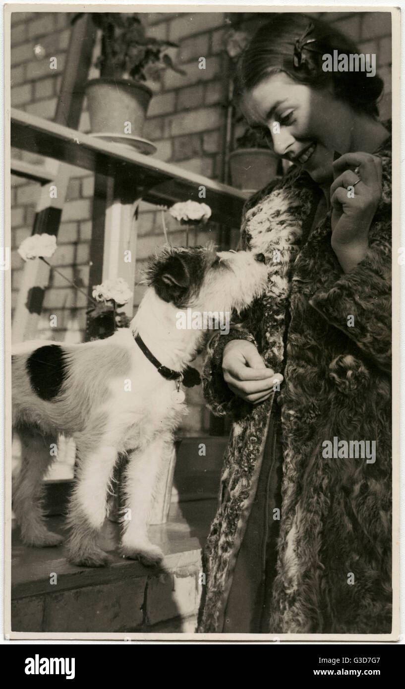 Young woman with a dog in a back garden Stock Photo - Alamy