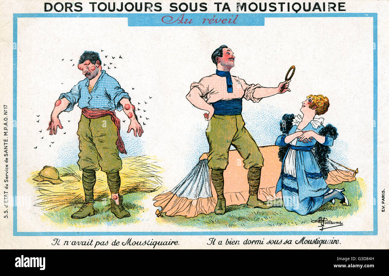 WW1 - The advantages of using a mosquito net Stock Photo