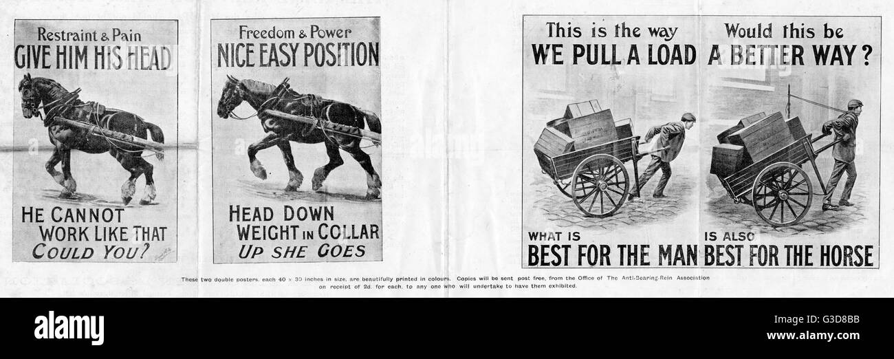 Leaflet produced by the Anti-Bearing Rein Association, demonstrating the discomfort experienced by horses who were forced to pull loads despite their head being restricted by a bearing or hame rein.   Another pair of posters shows how uncomfortable it wou Stock Photo