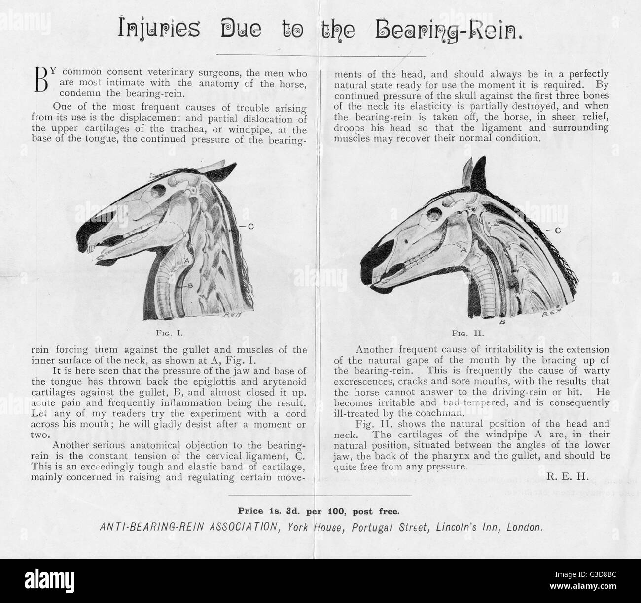 The AntiBearingRein Association leaflet Stock Photo Alamy