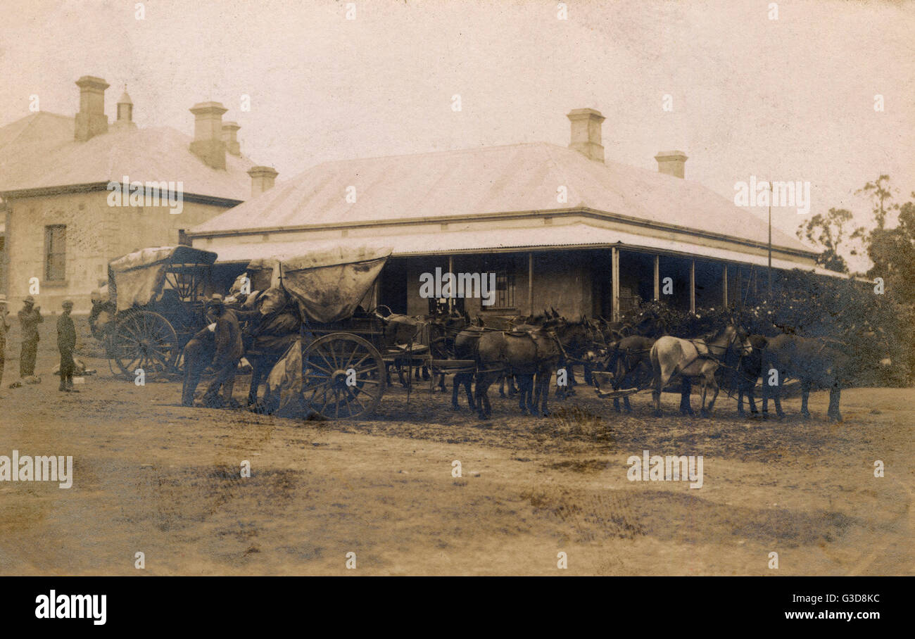 Muledrawn delivery carts outside a post office, South Africa. Date