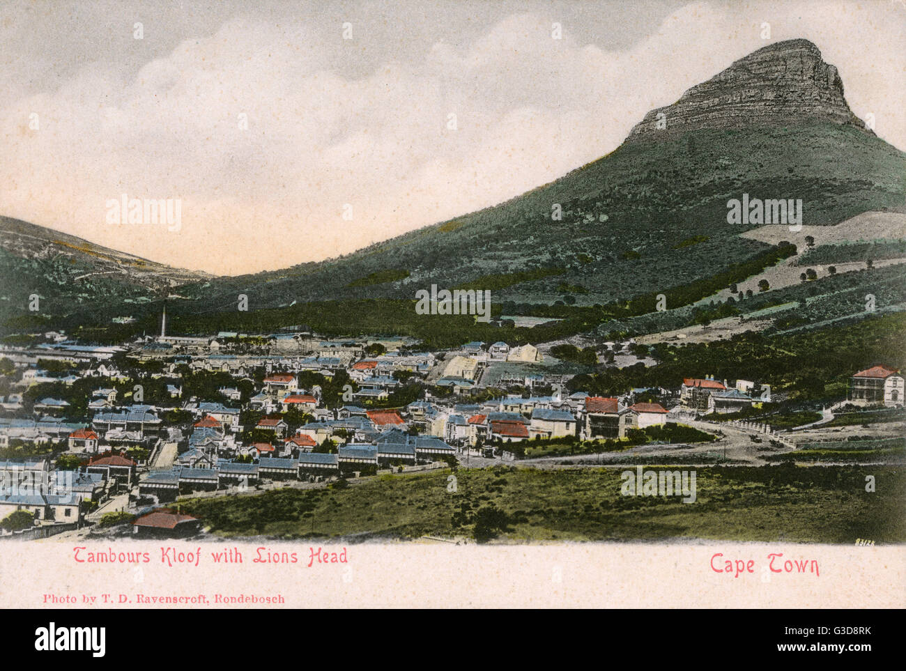 Tamboerskloof, Cape Town, and Lion's Head, South Africa Stock Photo Alamy