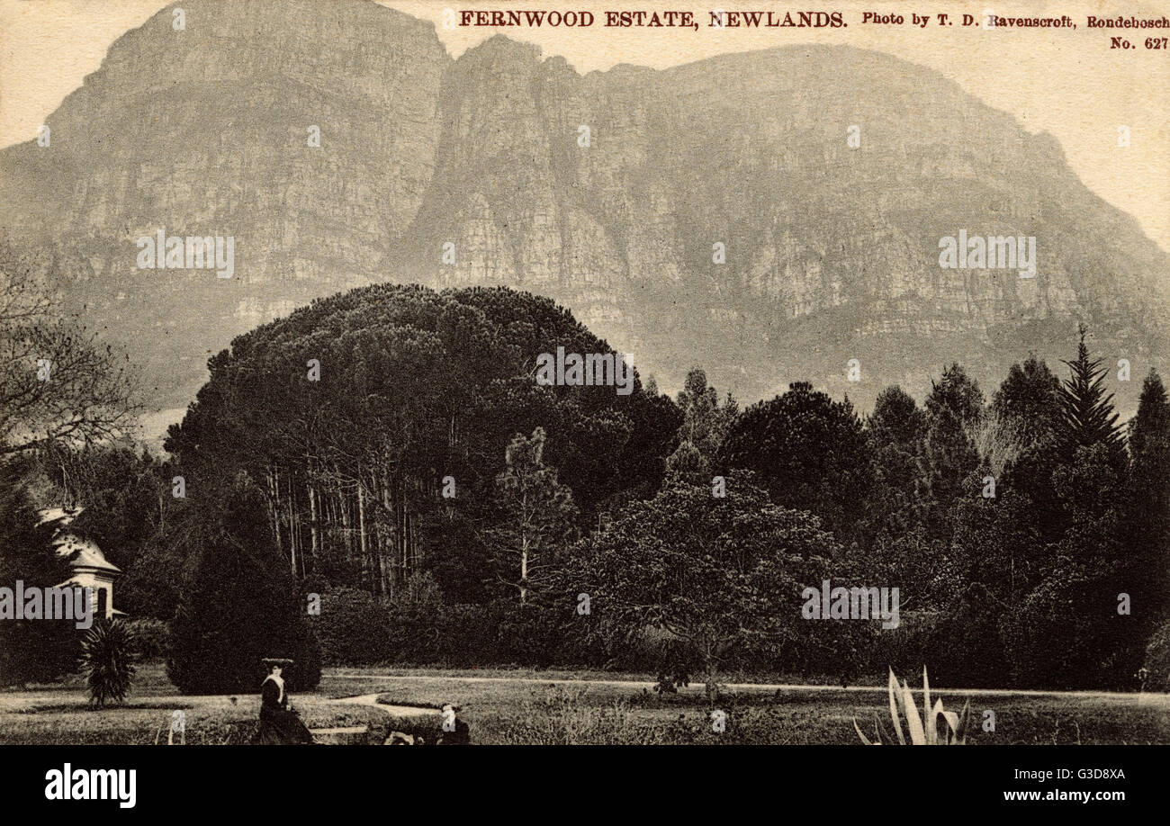 Fernwood Estate, Newlands, Cape Town, South Africa Stock Photo Alamy