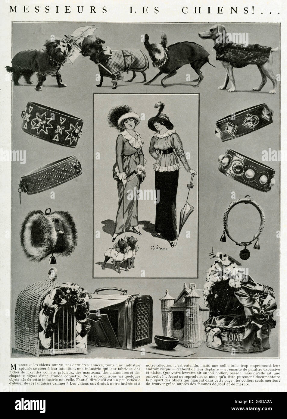 Edwardian accessories for dogs 1912 Stock Photo