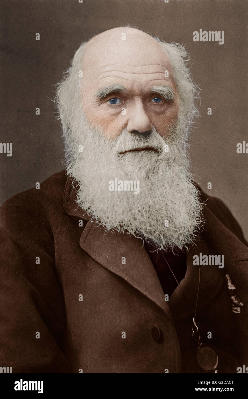 Charles Darwin (1809-1882) - English Naturalist and Geologist - pioneer of Evolutionary Theory.     Date: circa 1870 Stock Photo
