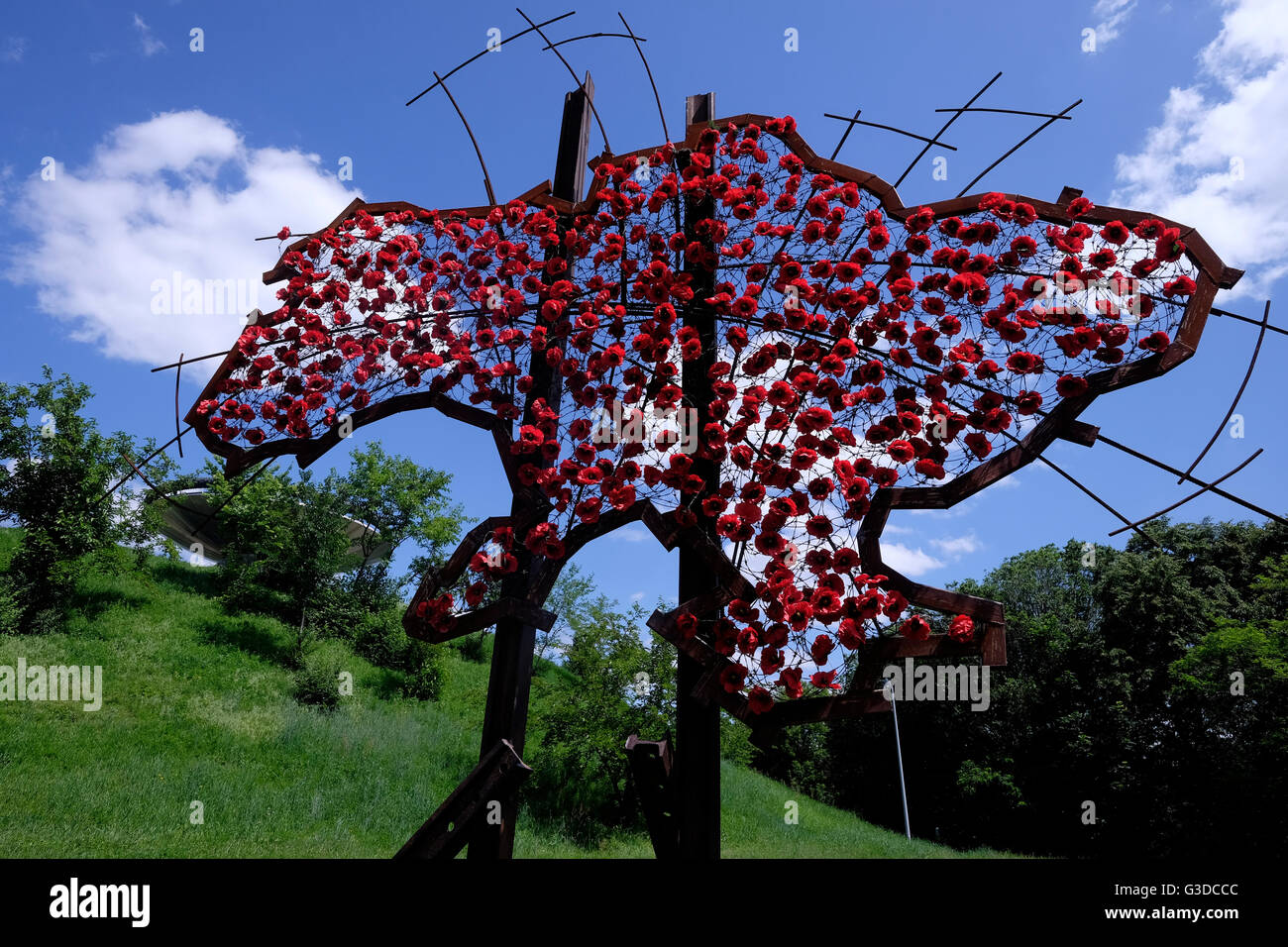 A symbolic map of Ukraine constructed with red poppies displayed in the garden at the complex of the National Museum of the History of Ukraine in the Second World War also called The Ukrainian State Museum of the Great Patriotic War located in the outskirts of the Pechersk district of Kiev, the capital of Ukraine Stock Photo