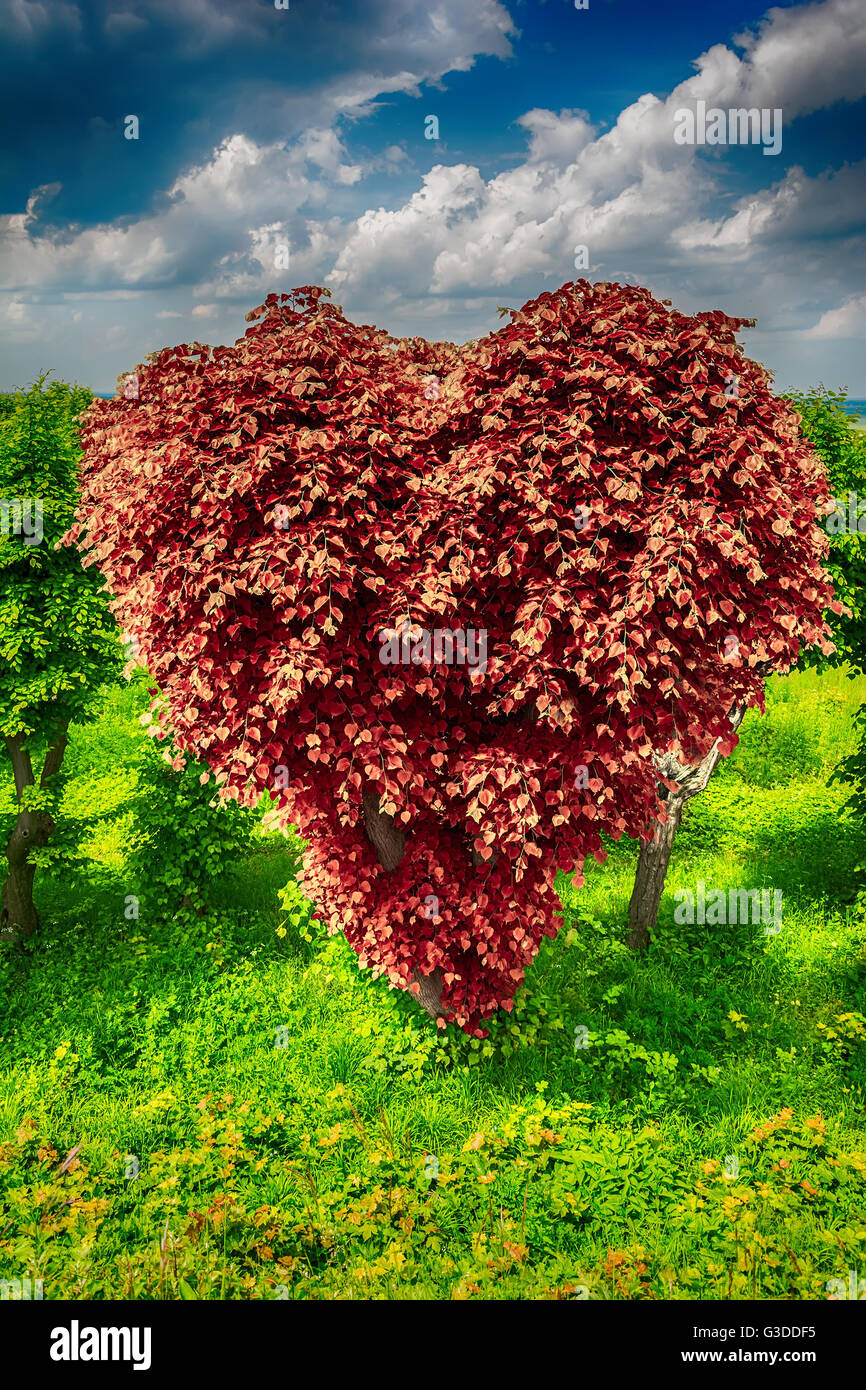Heart shape tree of love with red leaves. Ecological concept. Greeting