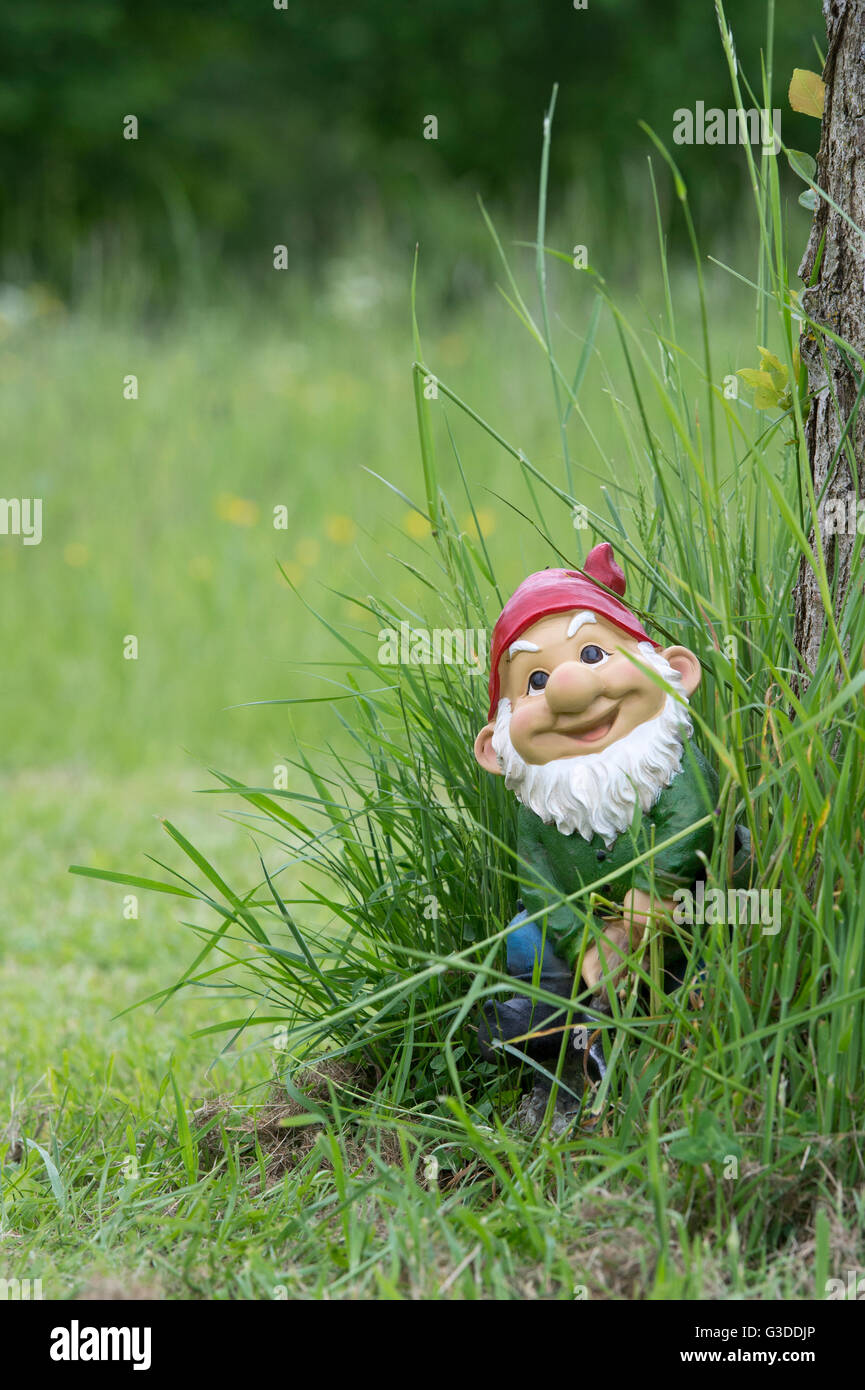 Happy smiling garden gnome in long grass Stock Photo