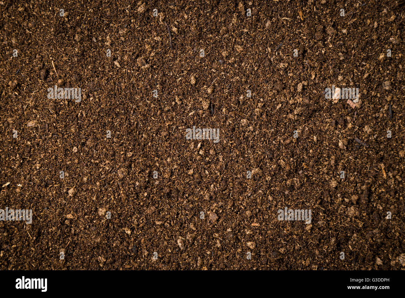 close up soil peat moss dirty background and texture Stock Photo Alamy