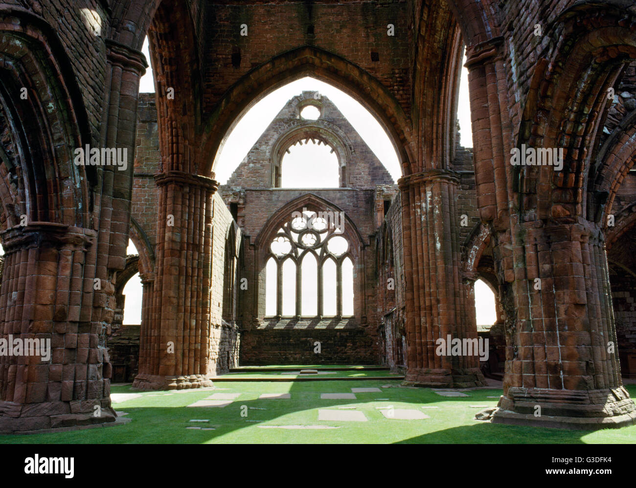 Looking from the nave at the crossing, chancel and east window of Sweetheart Abbey church.Dumfries & galloway, Scotland, UK Stock Photo