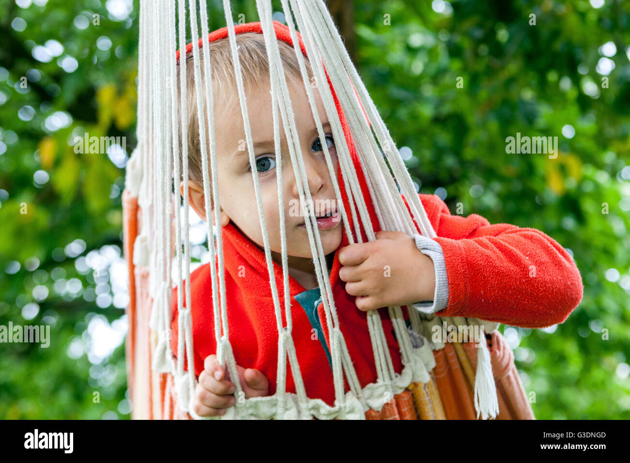 Young kid boy in a hammock garden Stock Photo