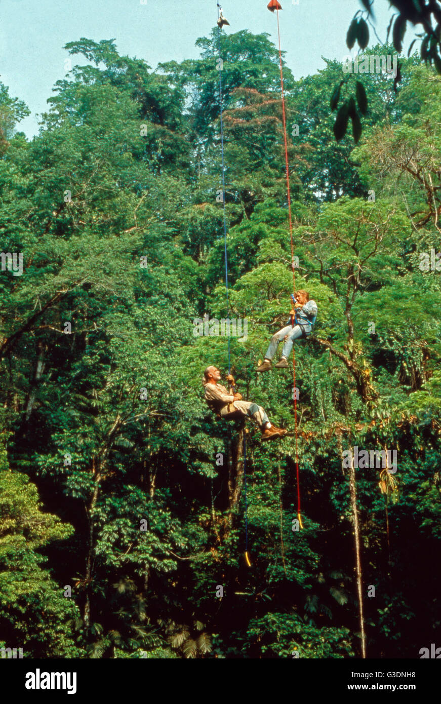 Medicine Man, aka Medicine Man Die letzten Tage von Eden, USA 1992