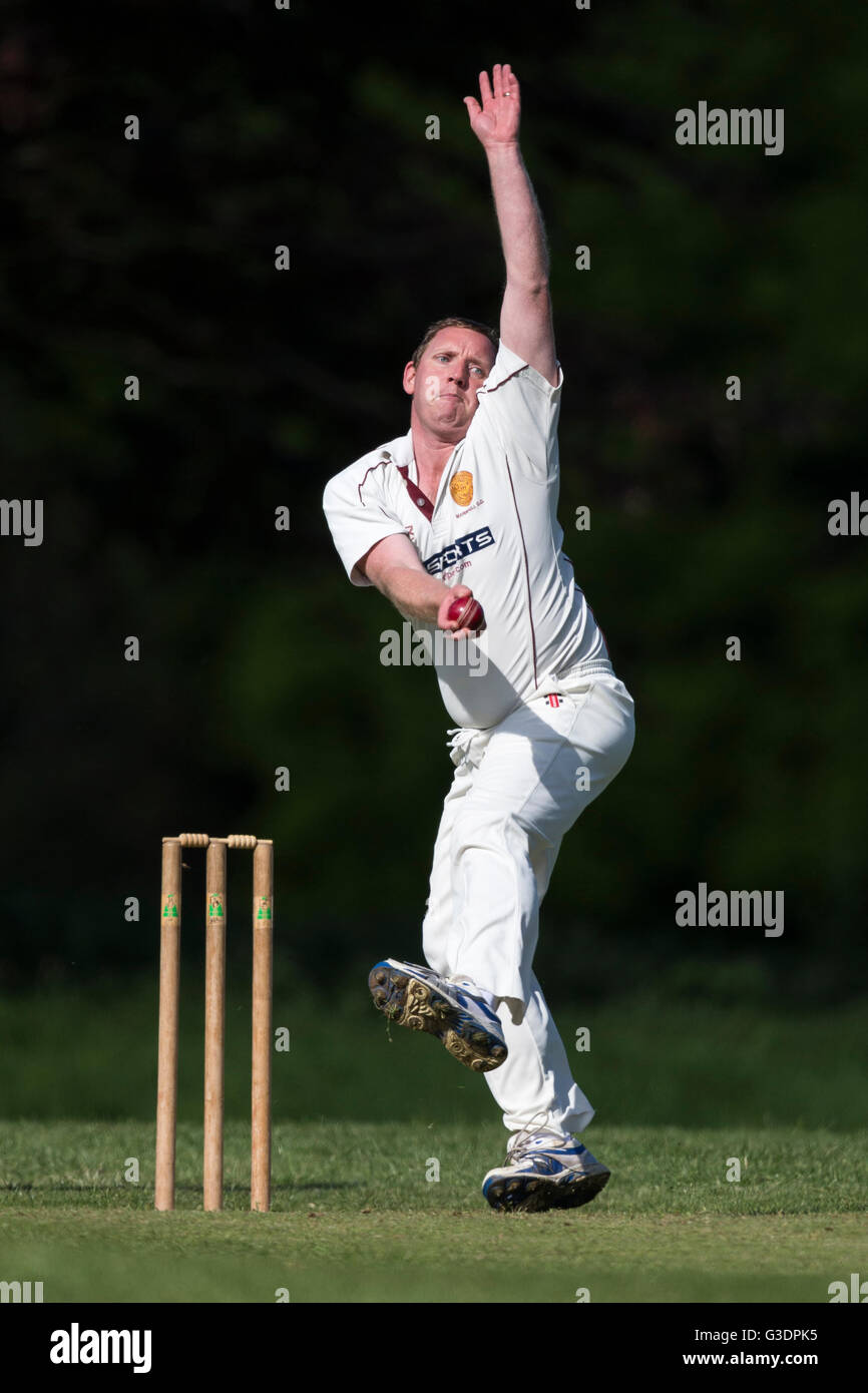 cricket, bowler in action. Stock Photo