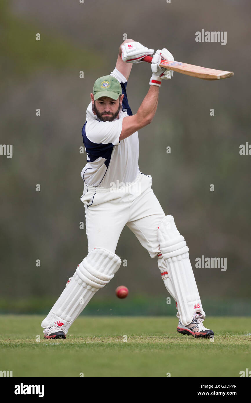 Cricket player hitting a ball hires stock photography and images Alamy