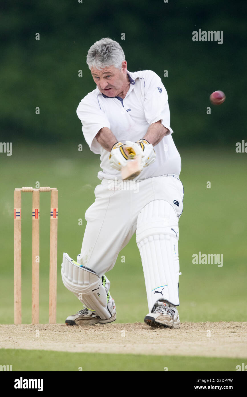 Cricket batsman in action Dorset, England, UK Stock Photo Alamy