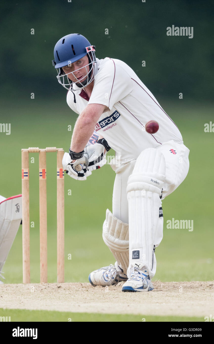 Cricket bat isolated hi-res stock photography and images - Alamy