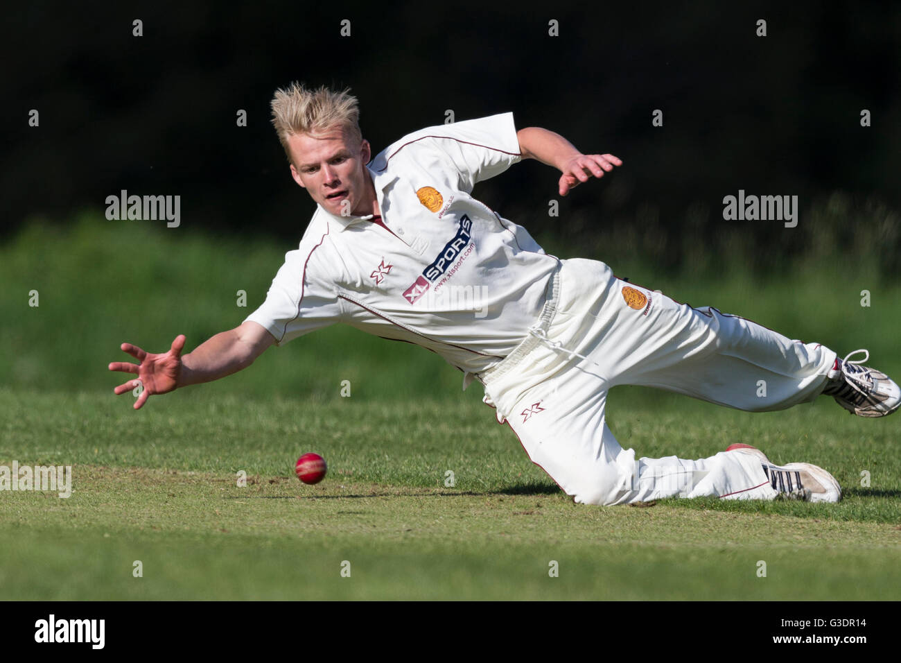 Witchampton CC 1st XI versus Marnhull CC 1st XI ,  Ashley Young of Marnhull diving to stop ball. Stock Photo