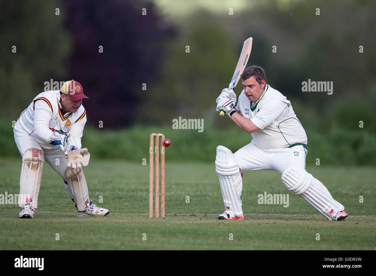 Cricket batsman in action Dorset, England, UK Stock Photo Alamy