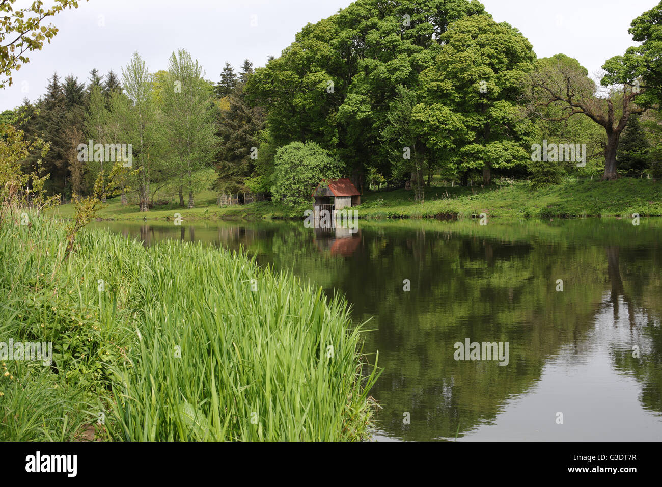 Right banks of the river Don - Dyce - Aberdeen city - Scotland - UK Stock Photo