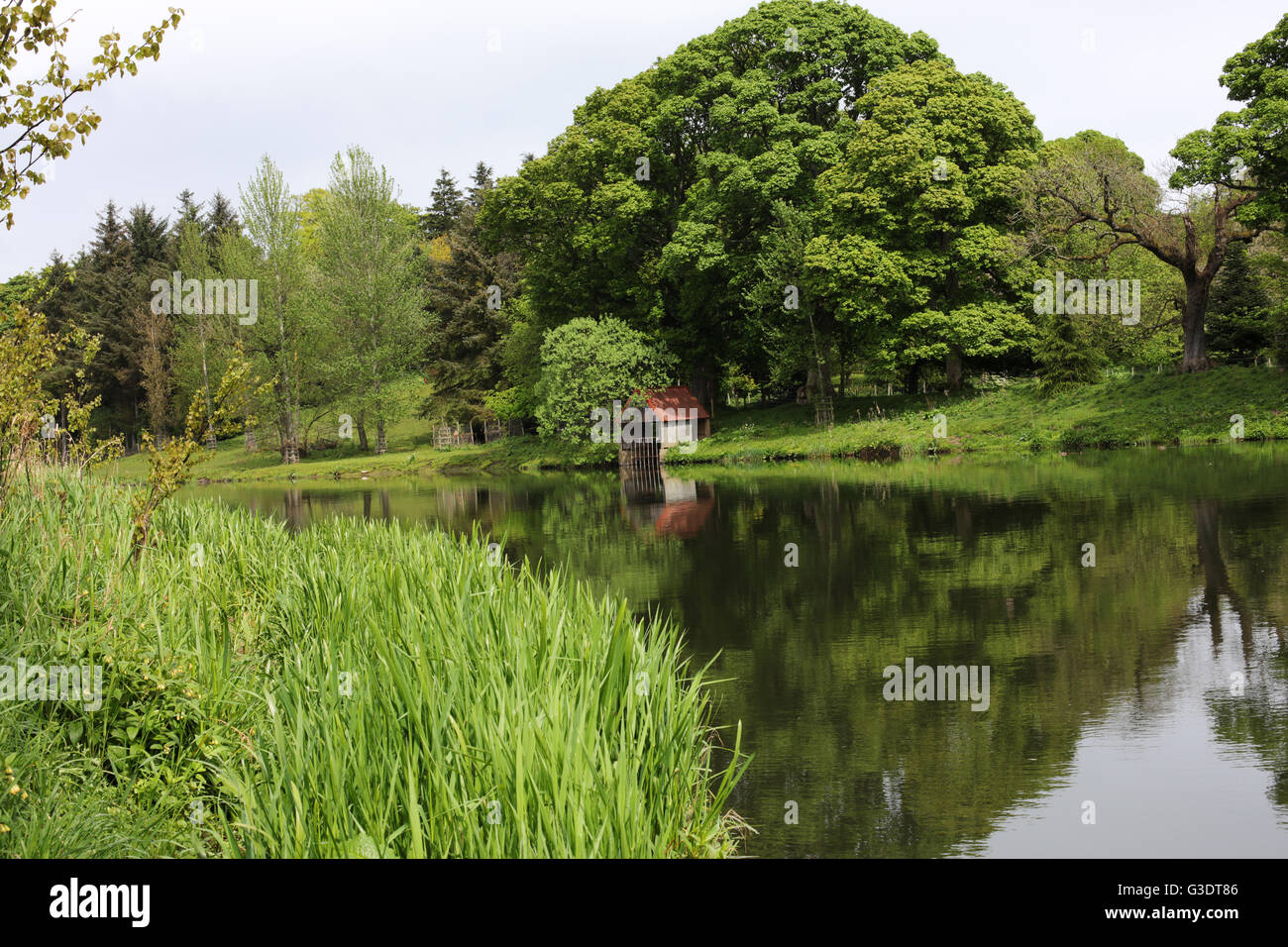 Right banks of the river Don Dyce Aberdeen city Scotland UK