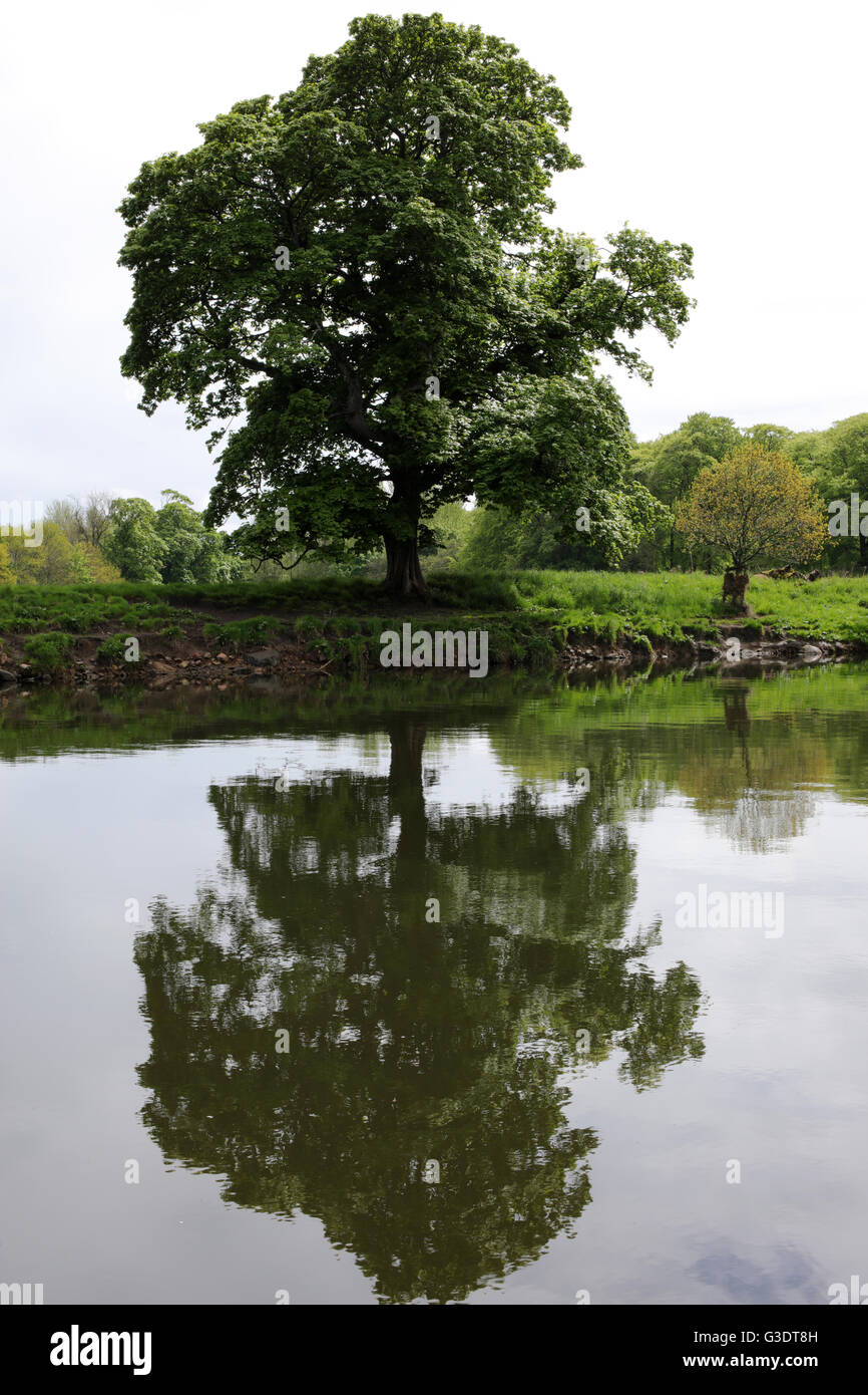 Dyce aberdeen hires stock photography and images Alamy
