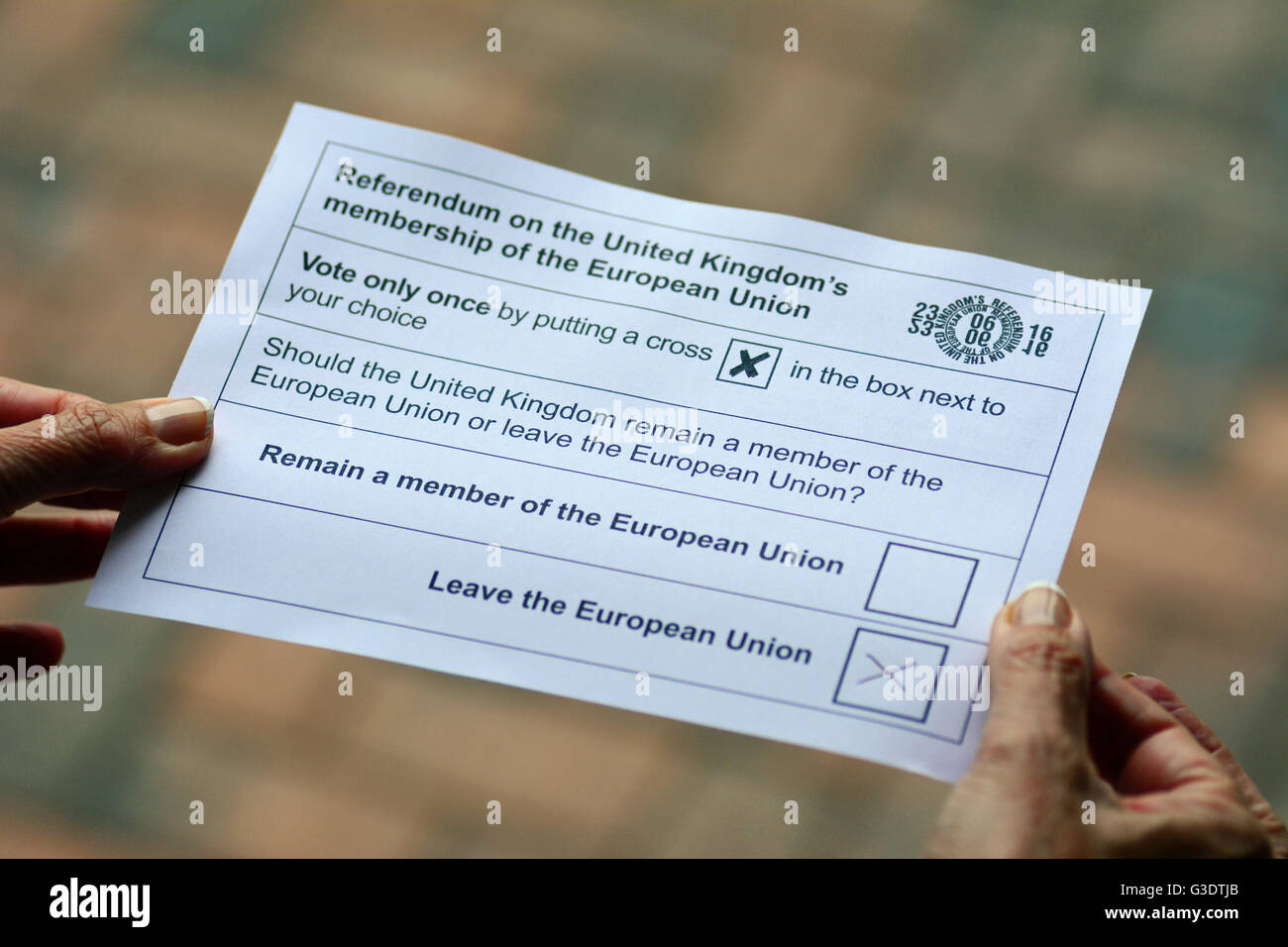 Postal voting form for the UK's European Vote Stock Photo Alamy