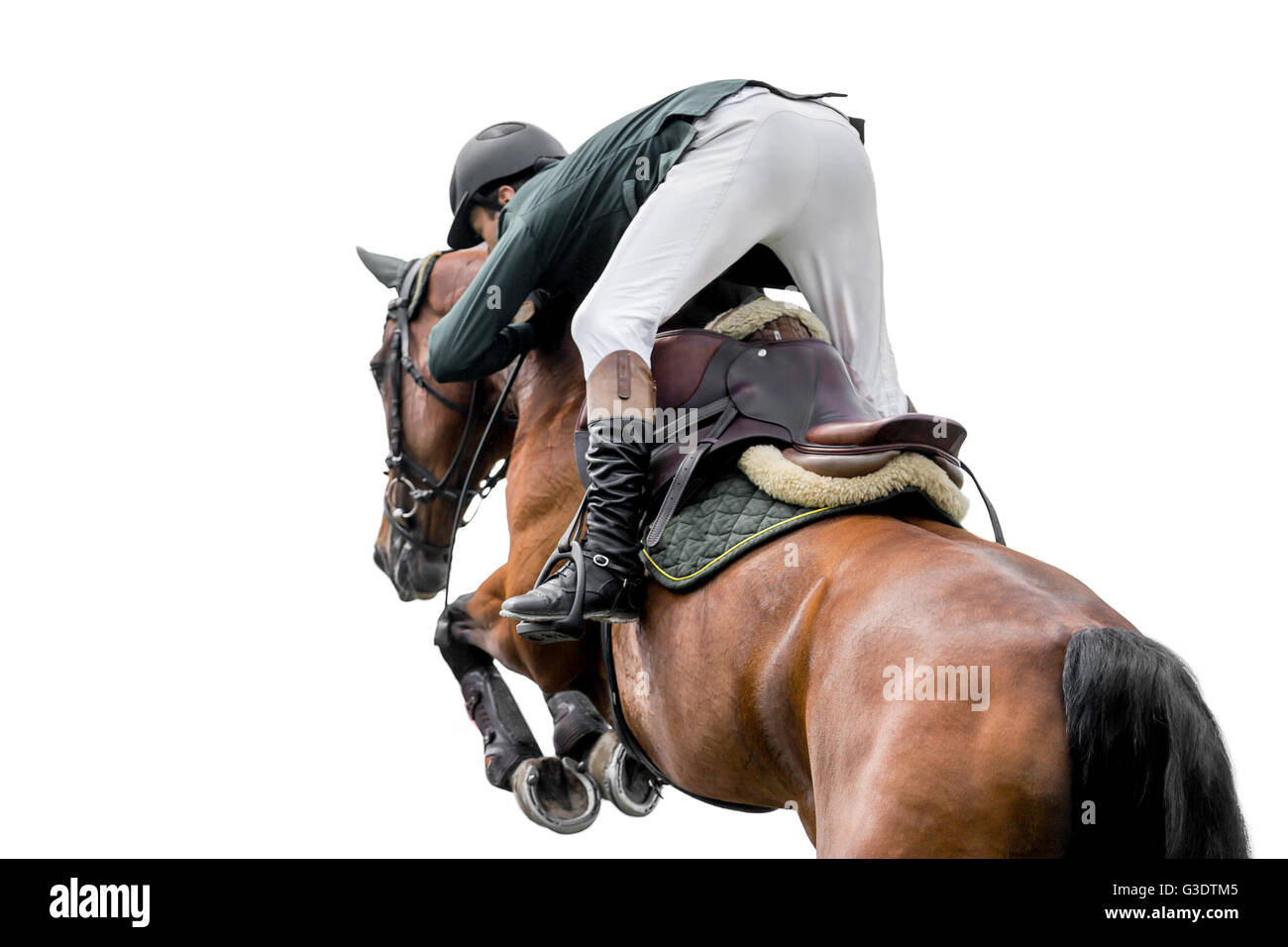 Horse Jumping, Equestrian Sports, Isolated on White Background Stock Photo