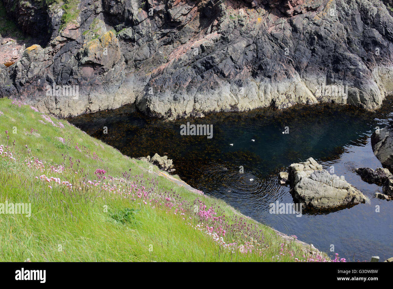 Coastal path between Peterhead, Boddam, Bullers of Buchan and Cruden