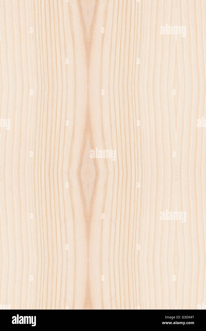 Texture of wood background closeup Stock Photo