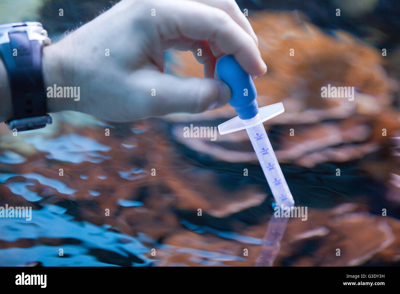 Water quality testing at Waikiki Aquarium Stock Photo - Alamy - Saltwater Aquarium Equipment Testing And Water Quality Testing