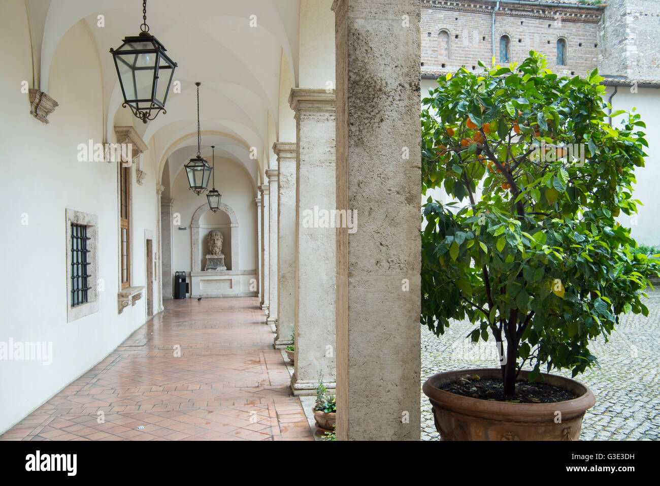 Page 3 Kardinal High Resolution Stock Photography And Images Alamy