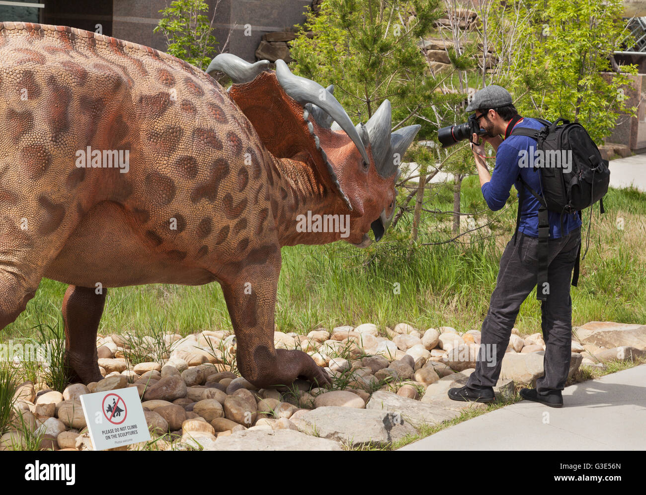 Man taking a picture of a dinosaur sculpture outdoors at the Royal Tyrell Museum of Palaeontology; Drumheller, Alberta, Canada Stock Photo