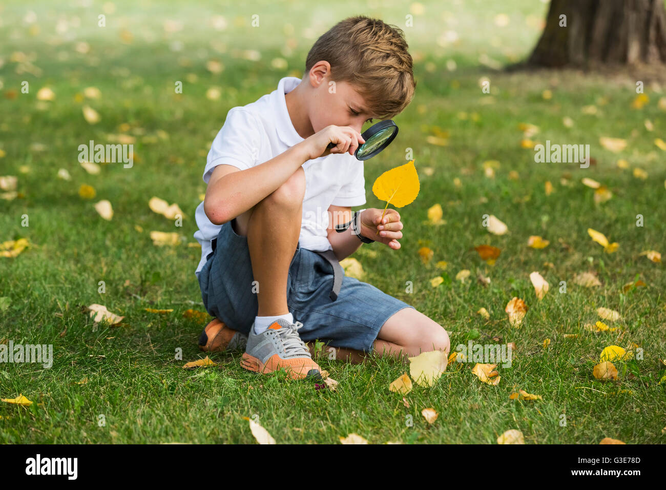 A young boy using a magnifying glass in a park; Edmonton, Alberta