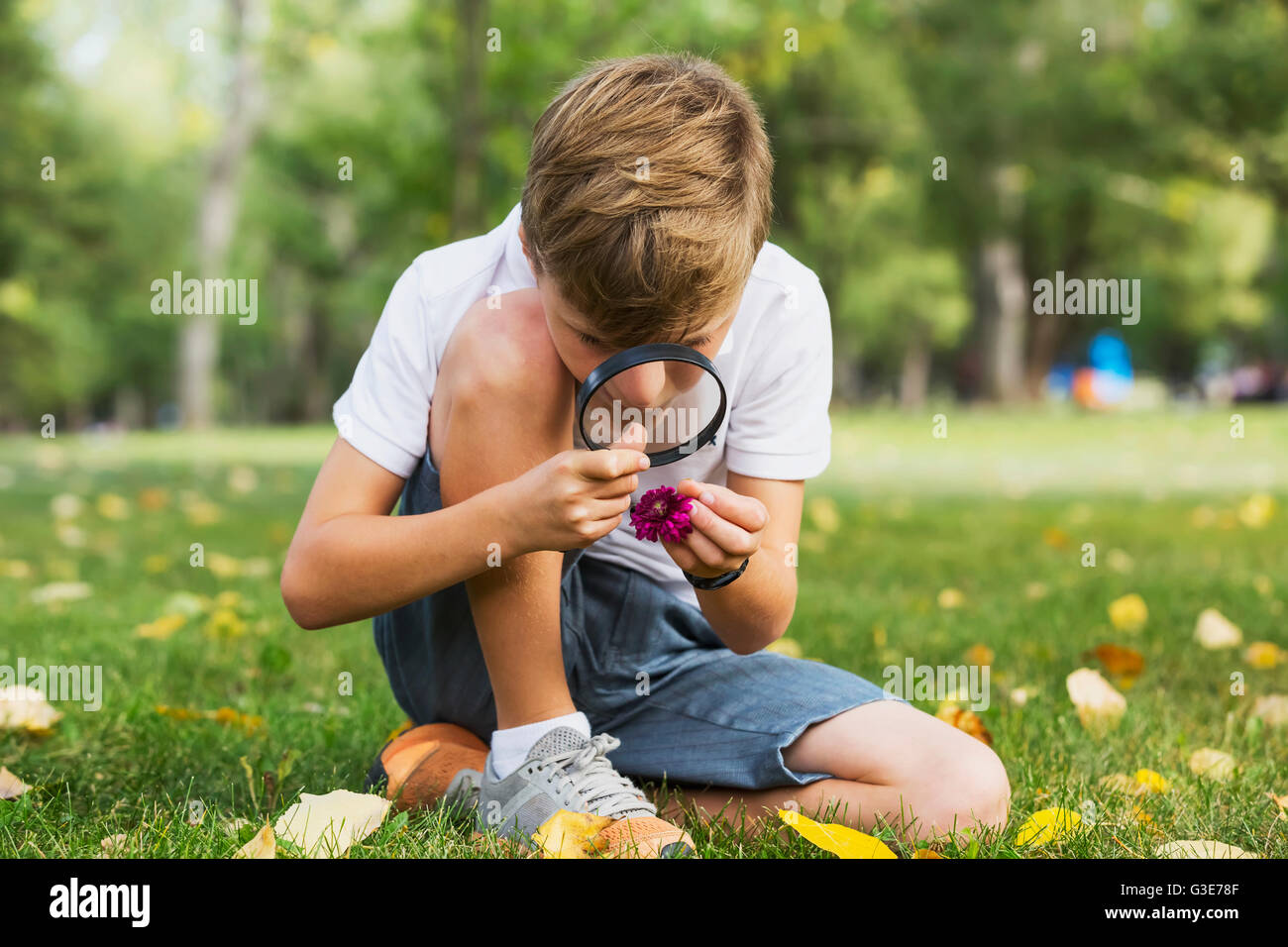A young boy using a magnifying glass in a park; Edmonton, Alberta, Canada Stock Photo