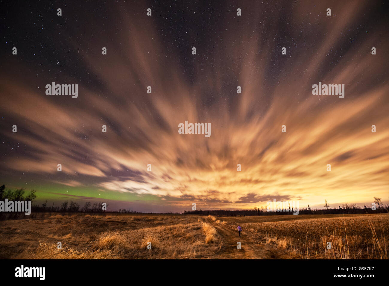 Night sky with aurora borealis; Thunder Bay, Ontario, Canada Stock