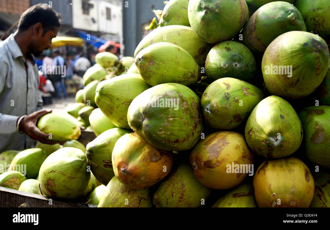 Coconut at Indian fruit Market Stock Photo Alamy