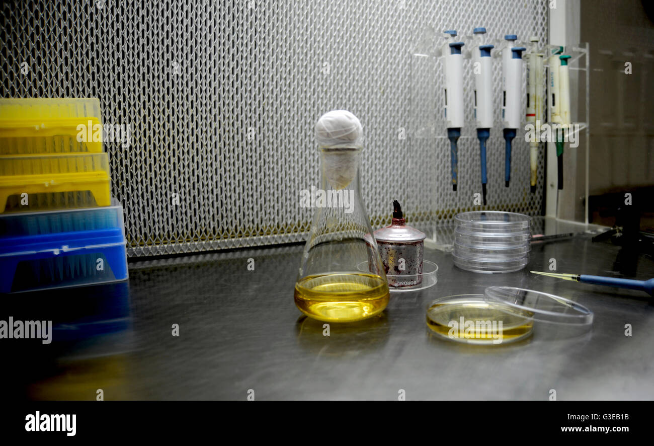 Laminar Flow-Laboratory Equipment Stock Photo