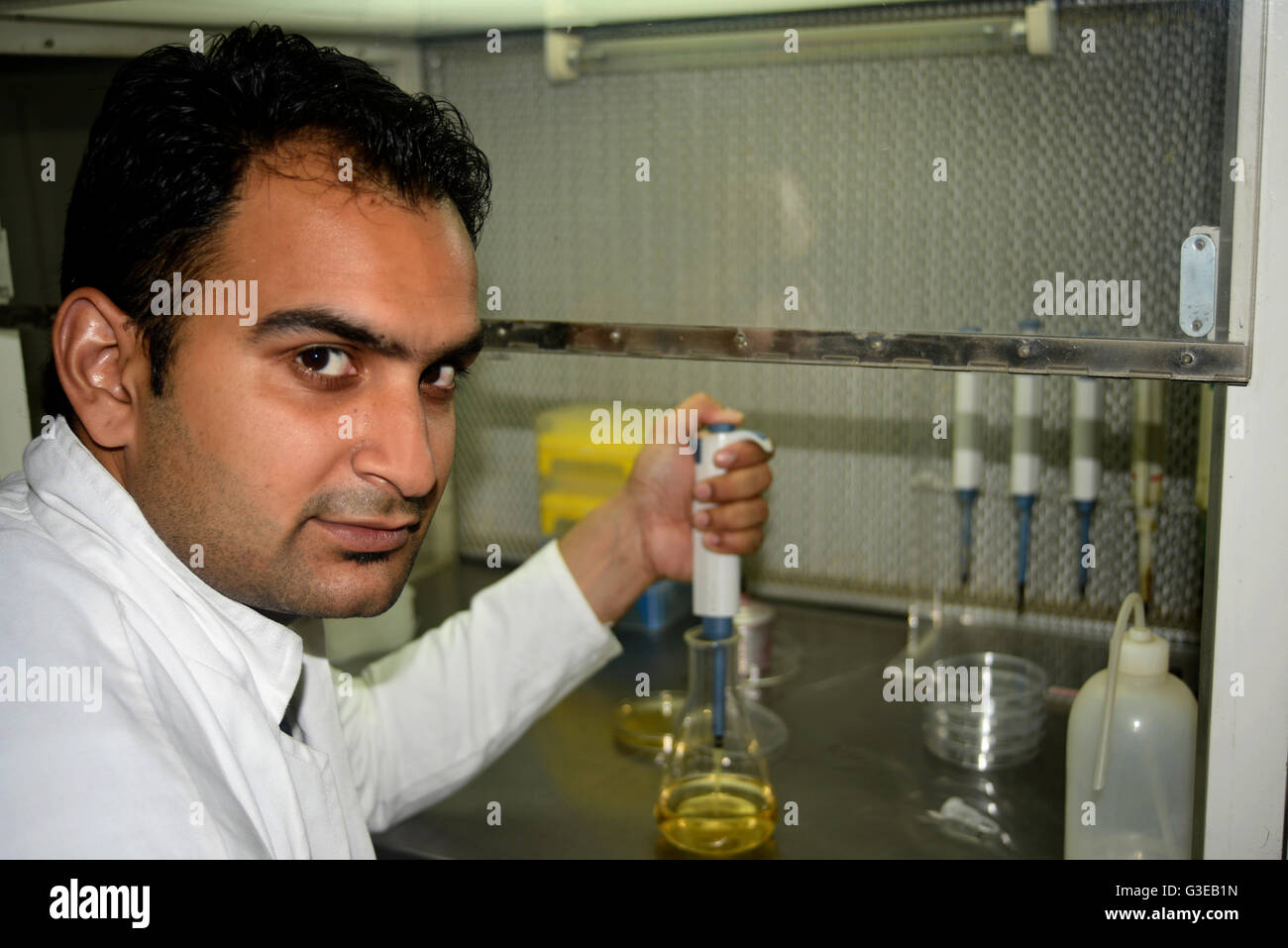 Lab research procedure Stock Photo - Alamy