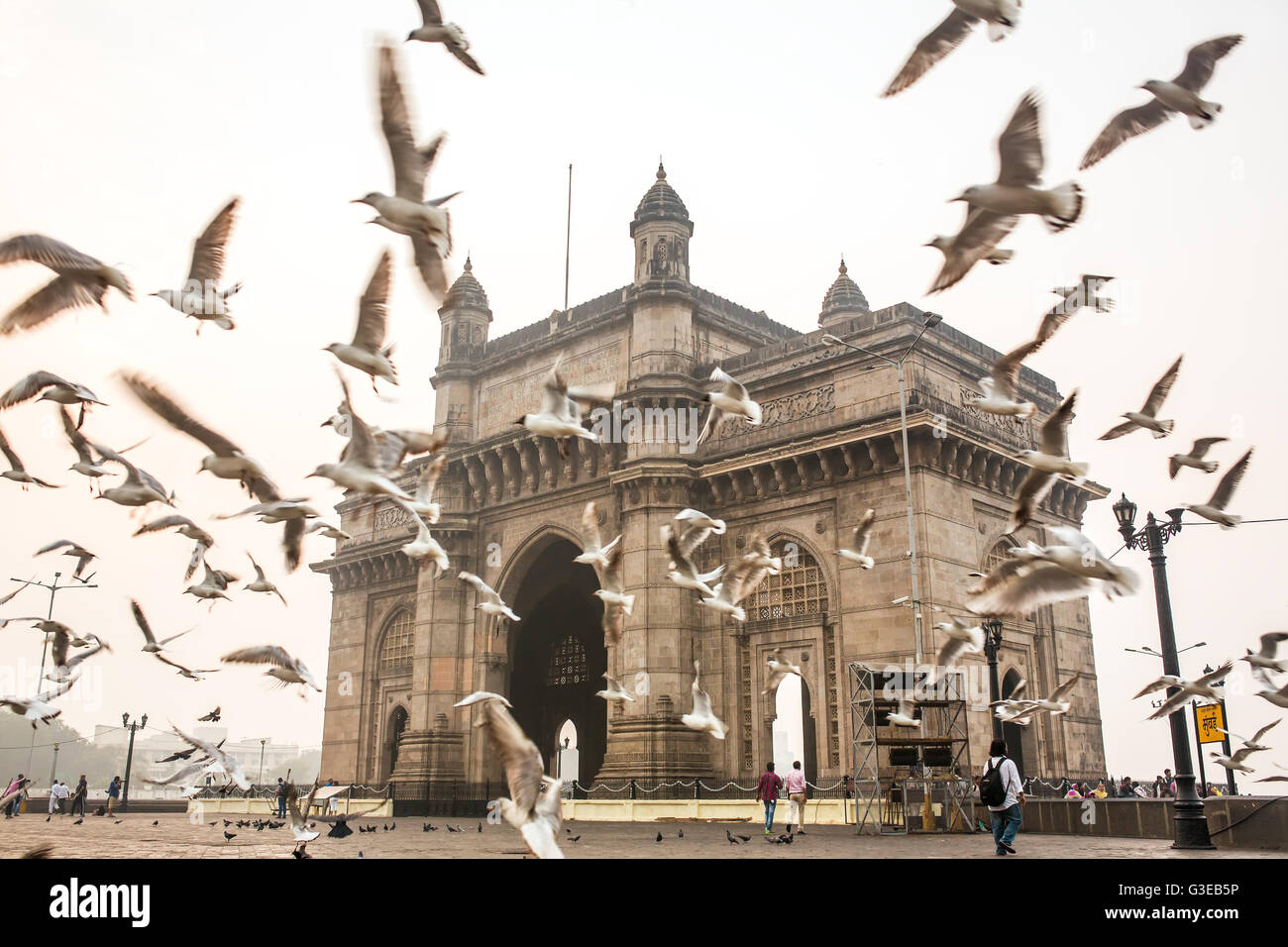 Seagulls fly in front of Gateway of India in Mumbai Stock Photo