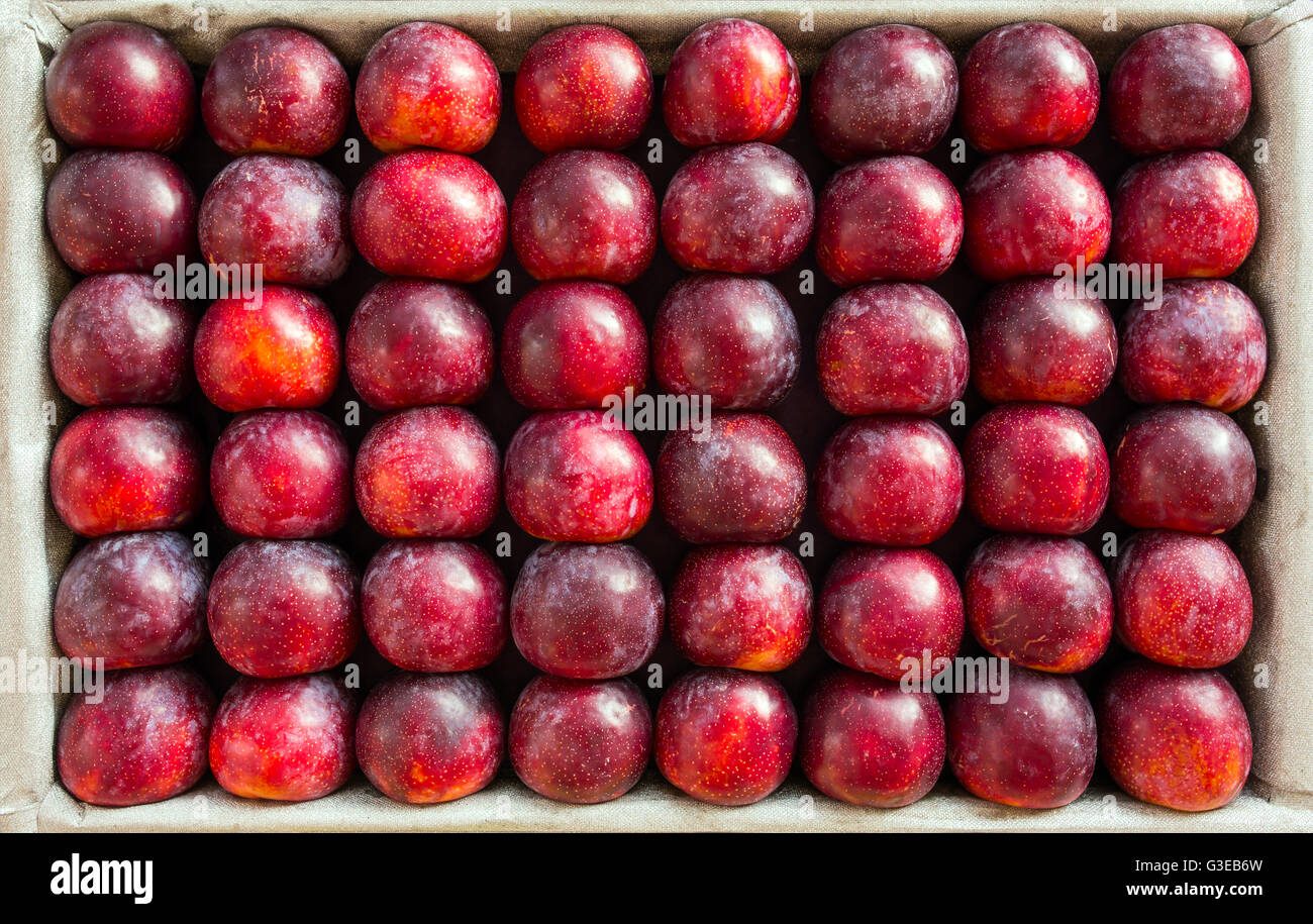 Big plums displayed for sale on the market Stock Photo Alamy