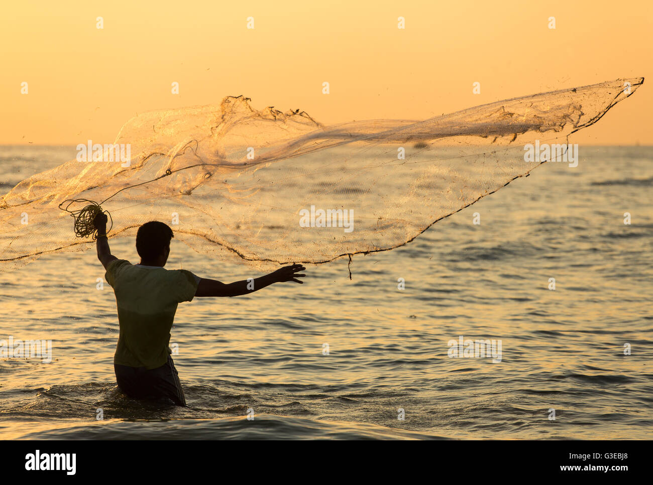 Silhouette of the unidentified Indian fisherman throwing net in sea on sunset in Fort Kochi, India. Stock Photo