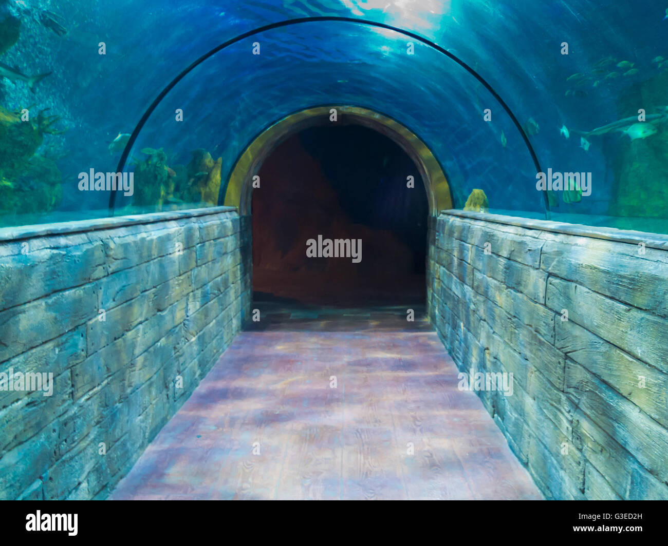 aquarium tunnel Stock Photo