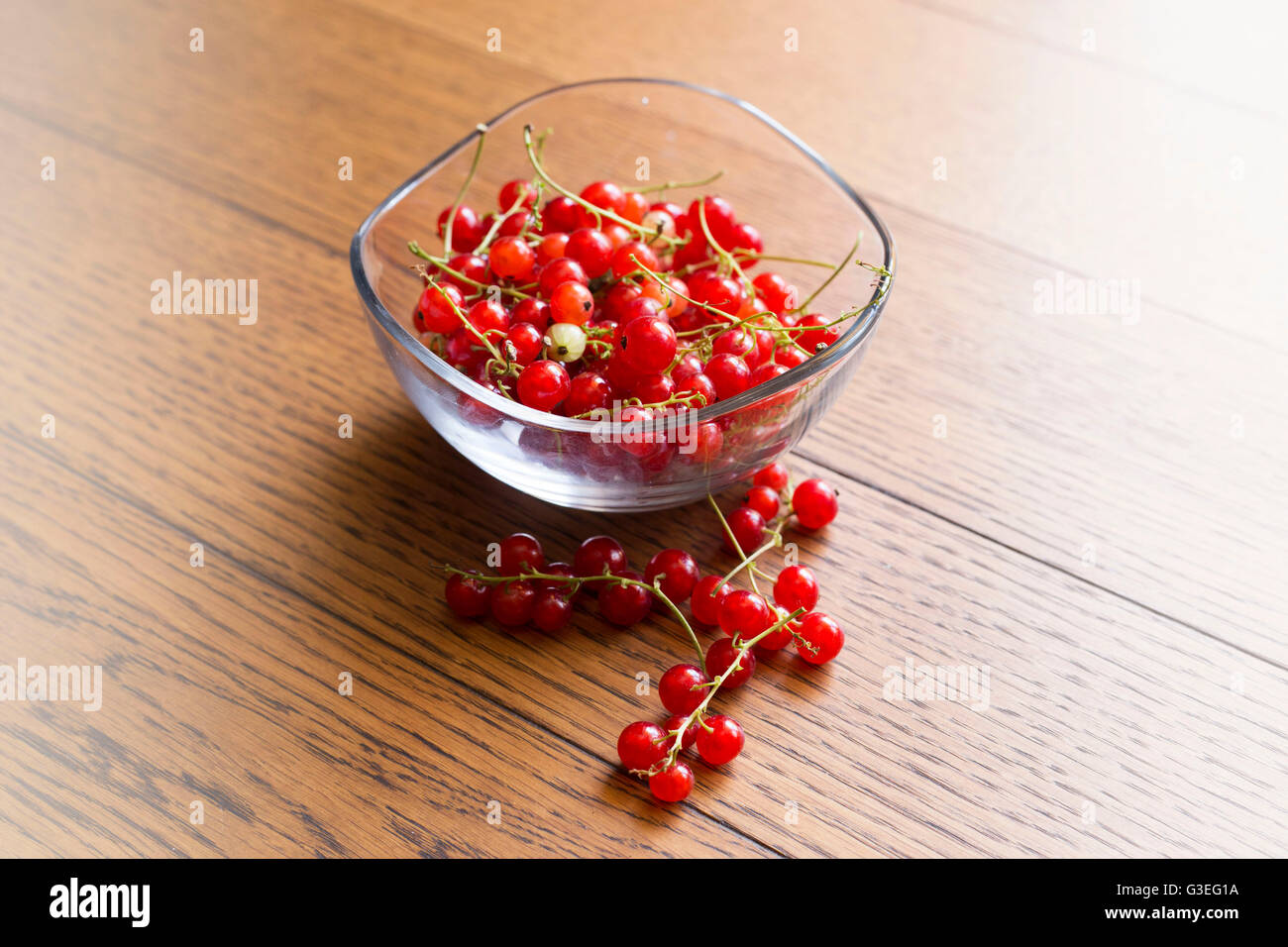 red currants Stock Photo