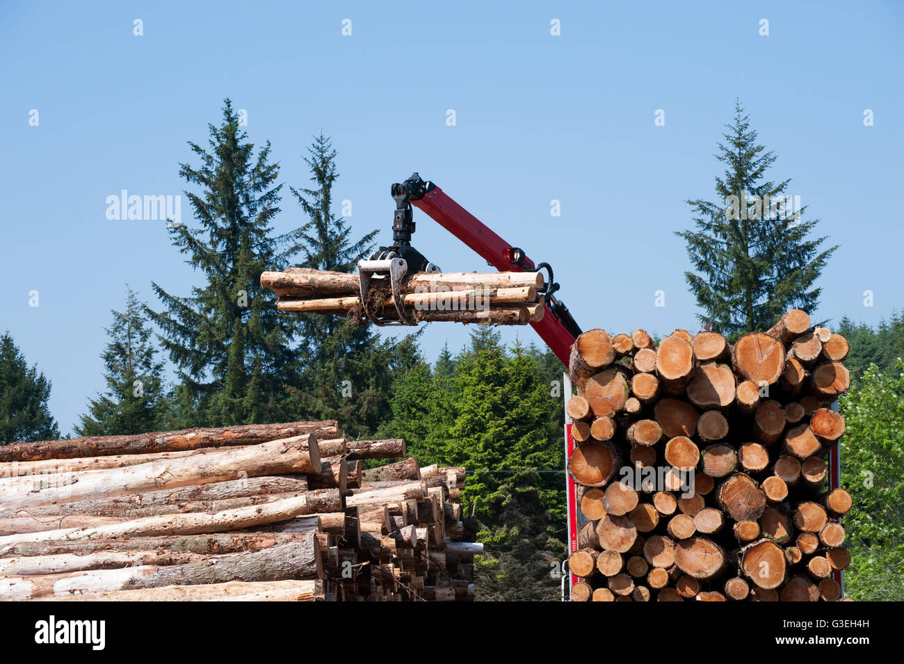 Crane operator loading logs on to truck on a nice summer day Stock Photo