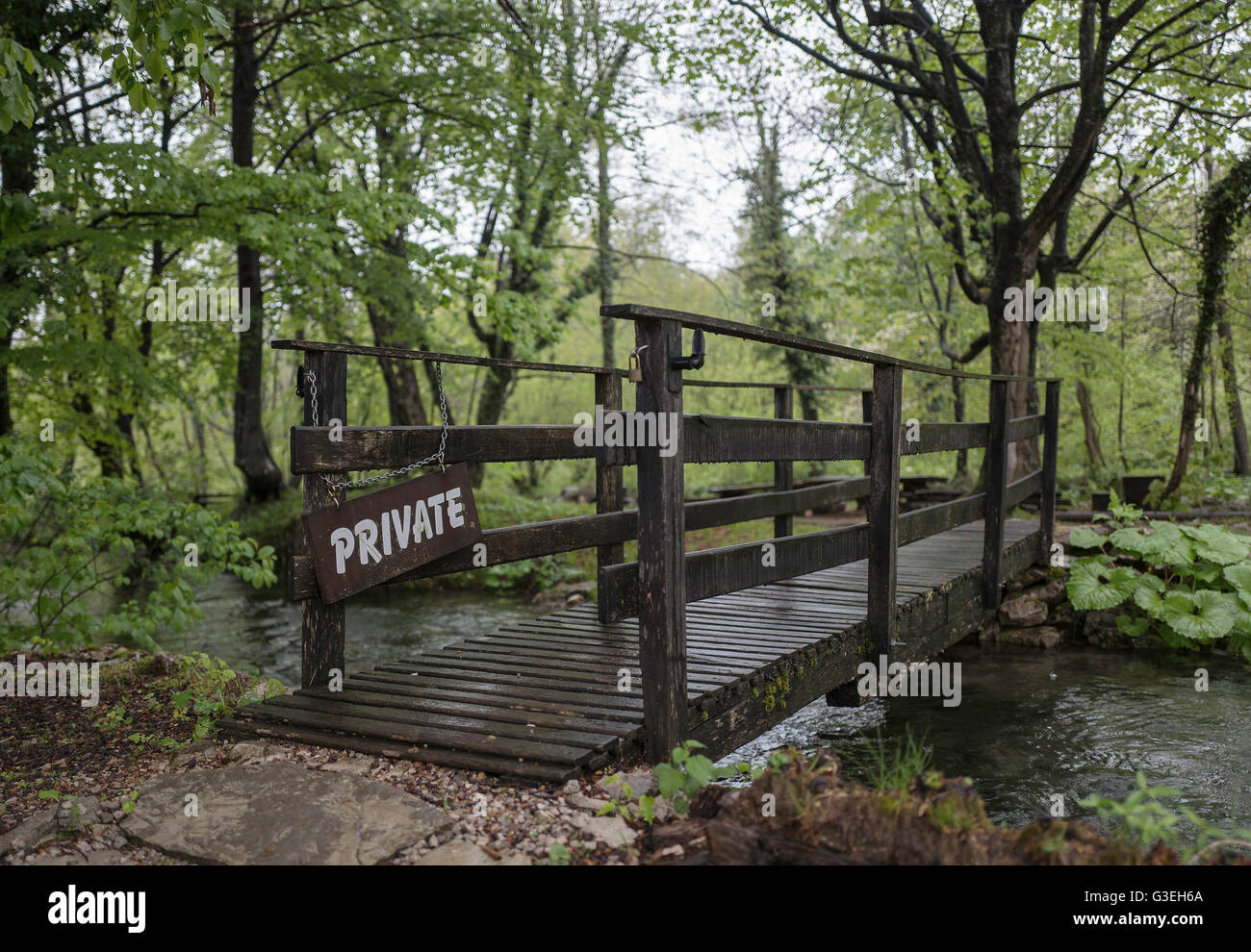 Bridge over a small river in the forest Stock Photo